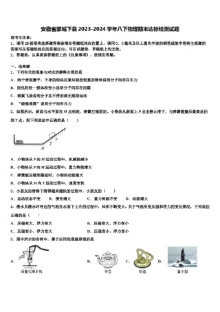 安徽省蒙城下县2023-2024学年八下物理期末达标检测试题含解析.doc