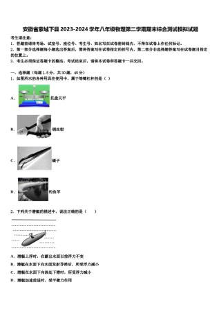 安徽省蒙城下县2023-2024学年八年级物理第二学期期末综合测试模拟试题含解析.doc