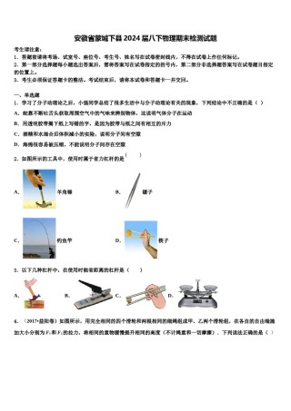 安徽省蒙城下县2024届八下物理期末检测试题含解析.doc
