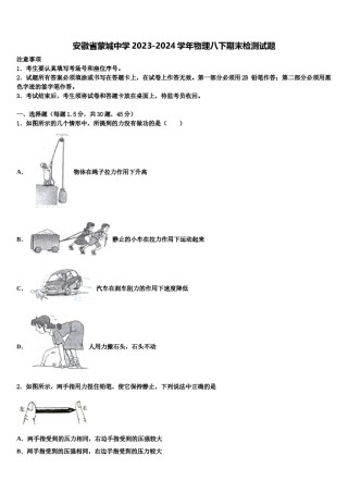 安徽省蒙城中学2023-2024学年物理八下期末检测试题含解析.doc