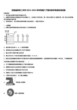 安徽省郎溪二中学2023-2024学年物理八下期末教学质量检测试题含解析.doc
