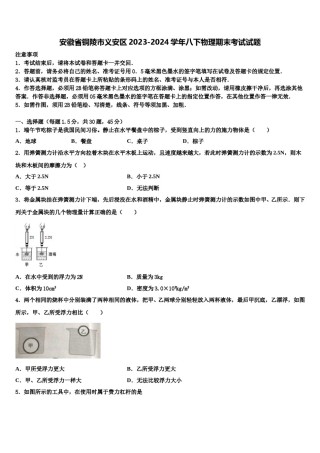 安徽省铜陵市义安区2023-2024学年八下物理期末考试试题含解析.doc