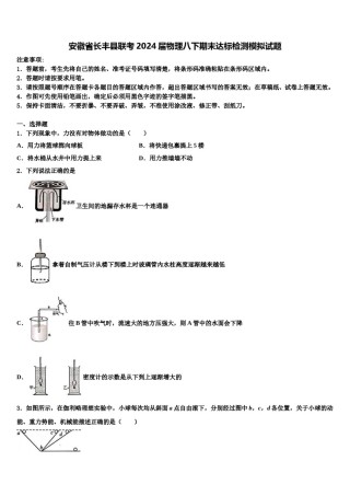 安徽省长丰县联考2024届物理八下期末达标检测模拟试题含解析.doc