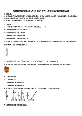 安徽省阜阳市颍东区2023-2024学年八下物理期末监测模拟试题含解析.doc