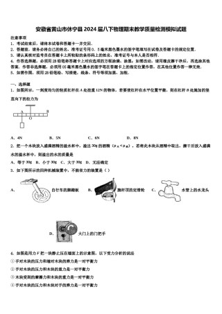 安徽省黄山市休宁县2024届八下物理期末教学质量检测模拟试题含解析.doc
