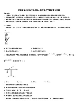 安徽省黄山市休宁县2024年物理八下期末考试试题含解析.doc