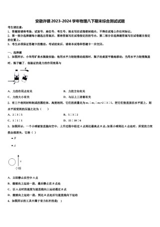 安徽许镇2023-2024学年物理八下期末综合测试试题含解析.doc