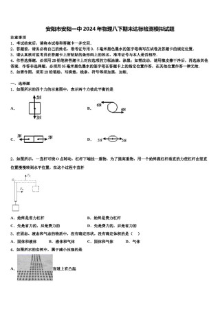 安阳市安阳一中2024年物理八下期末达标检测模拟试题含解析.doc