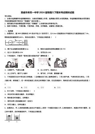 宣威市来宾一中学2024届物理八下期末考试模拟试题含解析.doc