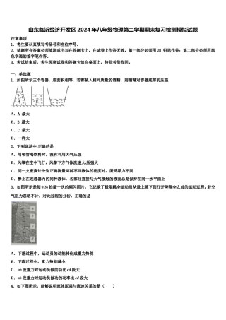 山东临沂经济开发区2024年八年级物理第二学期期末复习检测模拟试题含解析.doc