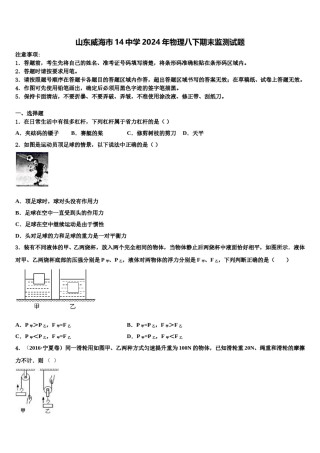 山东威海市14中学2024年物理八下期末监测试题含解析.doc