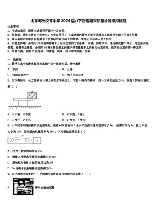 山东寿光文家中学2024届八下物理期末质量检测模拟试题含解析.doc