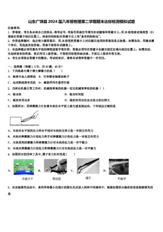 山东广饶县2024届八年级物理第二学期期末达标检测模拟试题含解析.doc