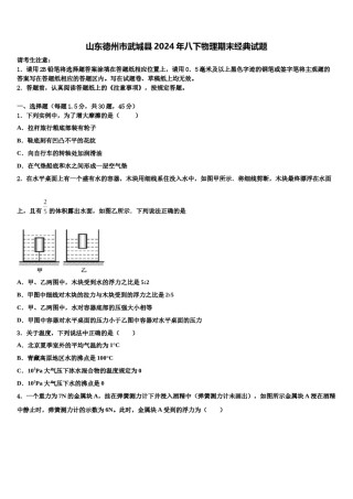 山东德州市武城县2024年八下物理期末经典试题含解析.doc