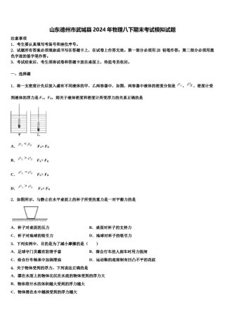 山东德州市武城县2024年物理八下期末考试模拟试题含解析.doc