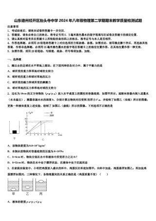 山东德州经开区抬头寺中学2024年八年级物理第二学期期末教学质量检测试题含解析.doc