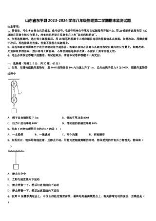 山东省东平县2023-2024学年八年级物理第二学期期末监测试题含解析.doc