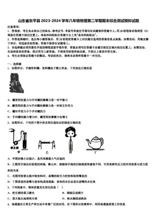 山东省东平县2023-2024学年八年级物理第二学期期末综合测试模拟试题含解析.doc