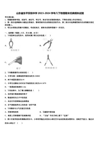 山东省东平实验中学2023-2024学年八下物理期末经典模拟试题含解析.doc