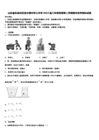 山东省东昌府区梁水镇中学心中学2024届八年级物理第二学期期末统考模拟试题含解析.doc