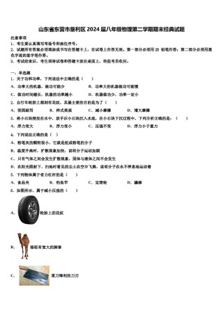 山东省东营市垦利区2024届八年级物理第二学期期末经典试题含解析.doc
