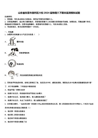山东省东营市垦利区六校2024届物理八下期末监测模拟试题含解析.doc