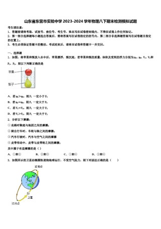 山东省东营市实验中学2023-2024学年物理八下期末检测模拟试题含解析.doc