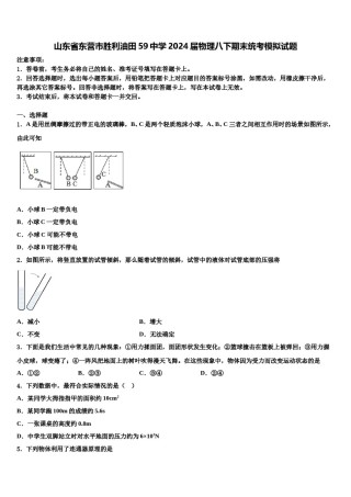 山东省东营市胜利油田59中学2024届物理八下期末统考模拟试题含解析.doc