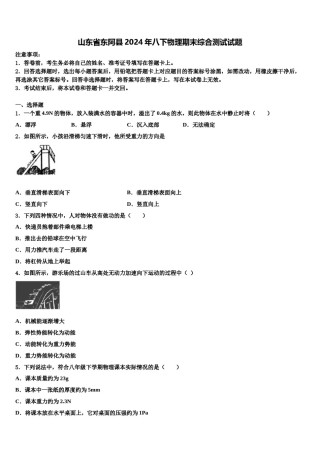 山东省东阿县2024年八下物理期末综合测试试题含解析.doc