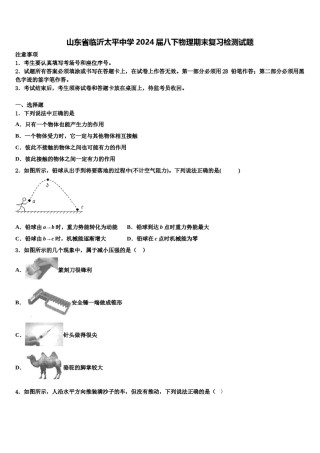 山东省临沂太平中学2024届八下物理期末复习检测试题含解析.doc