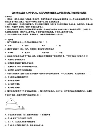 山东省临沂市12中学2024届八年级物理第二学期期末复习检测模拟试题含解析.doc