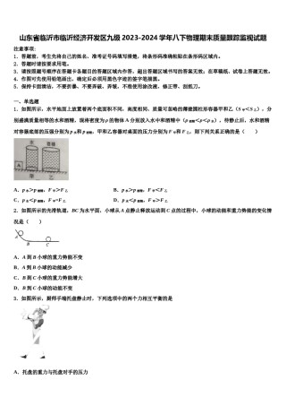 山东省临沂市临沂经济开发区九级2023-2024学年八下物理期末质量跟踪监视试题含解析.doc