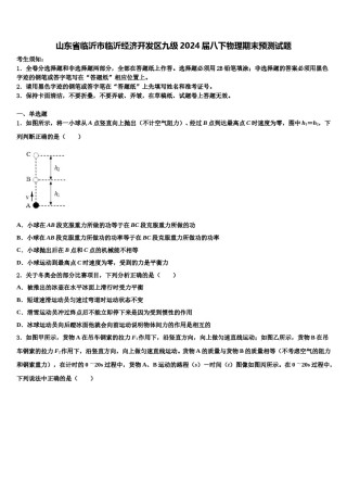 山东省临沂市临沂经济开发区九级2024届八下物理期末预测试题含解析.doc