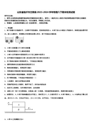 山东省临沂市兰陵县2023-2024学年物理八下期末检测试题含解析.doc