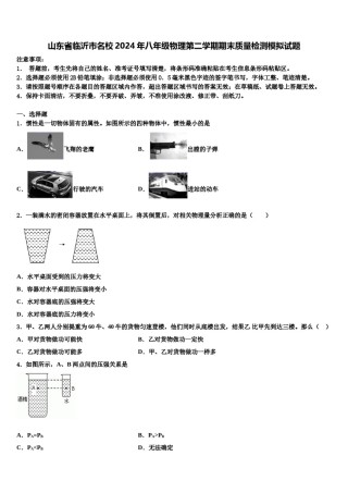 山东省临沂市名校2024年八年级物理第二学期期末质量检测模拟试题含解析.doc