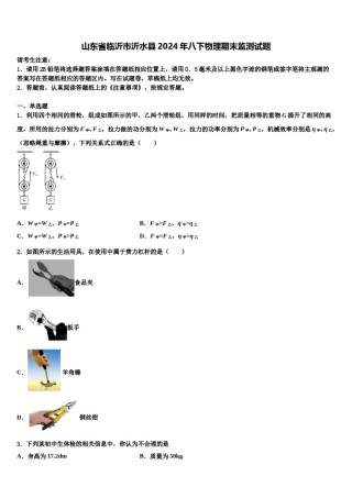 山东省临沂市沂水县2024年八下物理期末监测试题含解析.doc