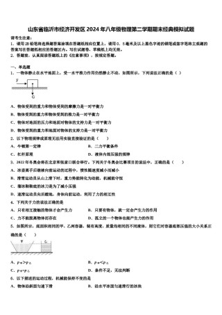 山东省临沂市经济开发区2024年八年级物理第二学期期末经典模拟试题含解析.doc