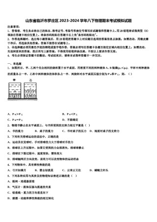 山东省临沂市罗庄区2023-2024学年八下物理期末考试模拟试题含解析.doc