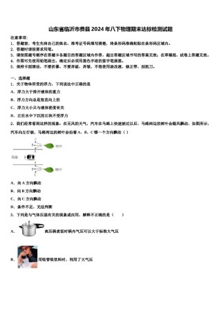 山东省临沂市费县2024年八下物理期末达标检测试题含解析.doc