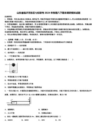 山东省临沂河东区七校联考2024年物理八下期末调研模拟试题含解析.doc