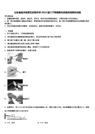 山东省临沭县第五初级中学2024届八下物理期末质量检测模拟试题含解析.doc