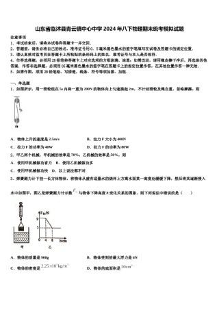 山东省临沭县青云镇中心中学2024年八下物理期末统考模拟试题含解析.doc