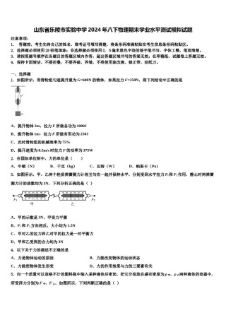 山东省乐陵市实验中学2024年八下物理期末学业水平测试模拟试题含解析.doc