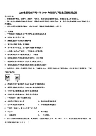 山东省乐陵市开元中学2024年物理八下期末质量检测试题含解析.doc