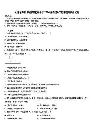 山东省单县北城第三初级中学2024届物理八下期末统考模拟试题含解析.doc