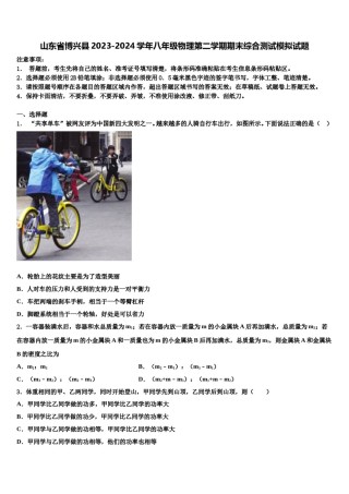 山东省博兴县2023-2024学年八年级物理第二学期期末综合测试模拟试题含解析.doc