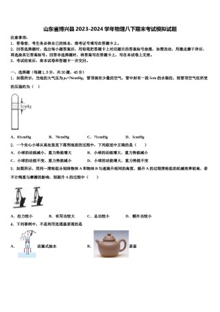山东省博兴县2023-2024学年物理八下期末考试模拟试题含解析.doc