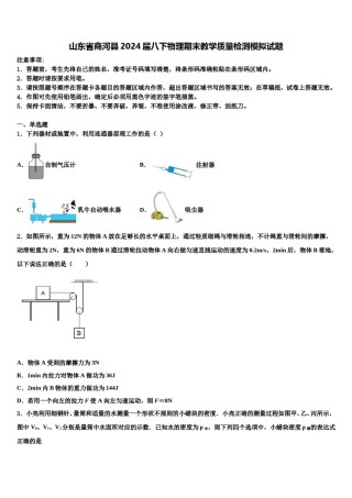 山东省商河县2024届八下物理期末教学质量检测模拟试题含解析.doc