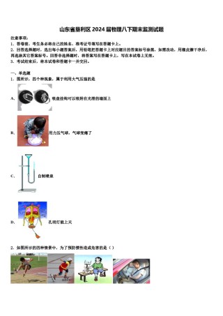 山东省垦利区2024届物理八下期末监测试题含解析.doc
