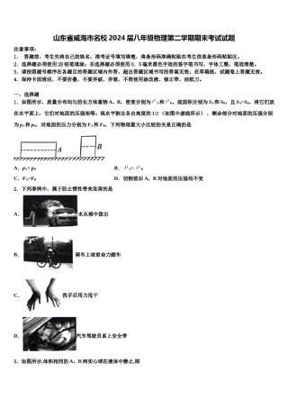 山东省威海市名校2024届八年级物理第二学期期末考试试题含解析.doc